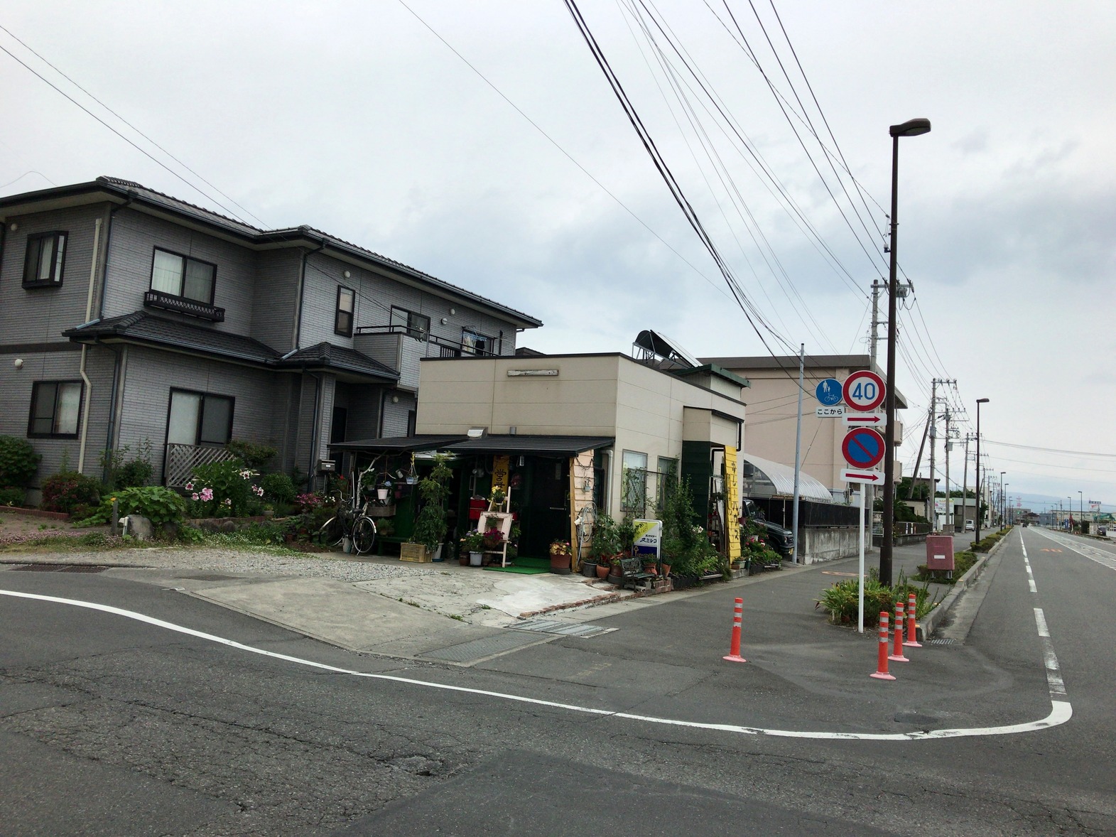JIB スパイシー スミレコ name=