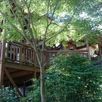 山帰来 - 