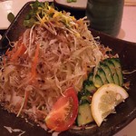 Yokaichi - 1706_よかいち_揚げジャコと野菜のサラダ＠500円
