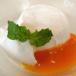 VIA Brianza - パスタメニュー 1000円 のパンナコッタのソルベ添えアプリコットソース掛け