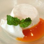 VIA Brianza - パスタメニュー 1000円 のパンナコッタのソルベ添えアプリコットソース掛け