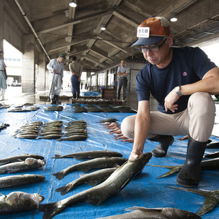 仲買人の主人が目利きで直接魚を仕入れ