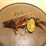 鮨 さかい - 広島太田川の若鮎