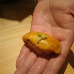 鮨 さかい - はだての雲丹