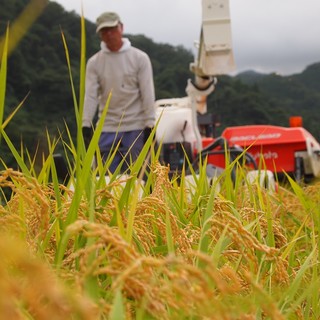 ご飯は手作りこだわりの自家製蟹殻米