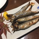 伊藤園 - ししゃも