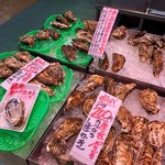 角上魚類 - 