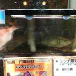 Iroha Zushi - いろは寿司 中目黒目黒川沿い店 店頭 活魚の水槽