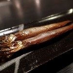 DEN - オイルキャペリン