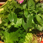 ベトナムキッチン アンヴィエット - ネムルイの香草♪