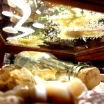 セララバアド - 下から見た渚