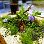 NARISAWA - 5.里山の風景