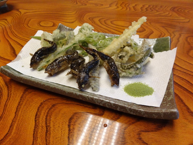 秋を感じさせる空間を楽しめます By くいしんぼうなともさん いわな茶屋 金沢市その他 割烹 小料理 食べログ 秋を感じさせる空間を楽しめます By くいしんぼうなともさん いわな茶屋 金沢市その他 割烹 小料理 食べログ