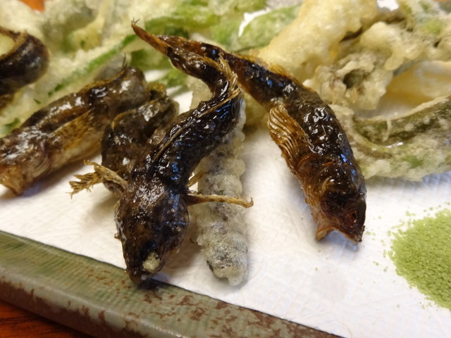 秋を感じさせる空間を楽しめます By くいしんぼうなともさん いわな茶屋 金沢市その他 割烹 小料理 食べログ 秋を感じさせる空間を楽しめます By くいしんぼうなともさん いわな茶屋 金沢市その他 割烹 小料理 食べログ