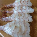 亀正くるくる寿司 - 車えび