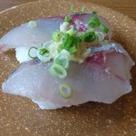 亀正くるくる寿司 - 関あじ