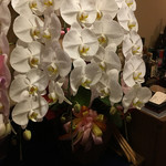 旬美にしかわ - 私が持って行ったお花で大将、女将さんに喜んで頂けました。