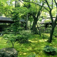 八勝館 - 