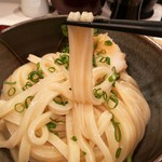 極浄うどん うだま - 