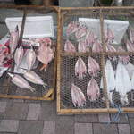 鮮魚・お食事処 山正 - 