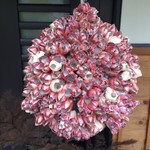 リストランテ マツシマ - 