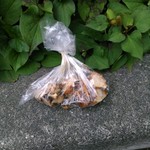 大勝軒 - いつもじゃないのかも知れませんが、今日はチャーシューの切れ端を頂けました。