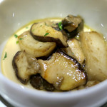 ドディチ・マッジョ - 