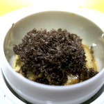 ドディチ・マッジョ - 