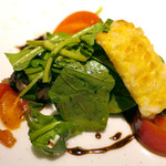 ドディチ・マッジョ - 