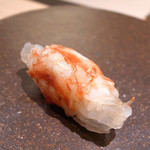 寿しの吉乃 - 車海老 芝海老のおぼろ