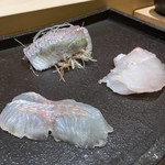 すし 陸 - ハタ・イワシ・スズキのお造り