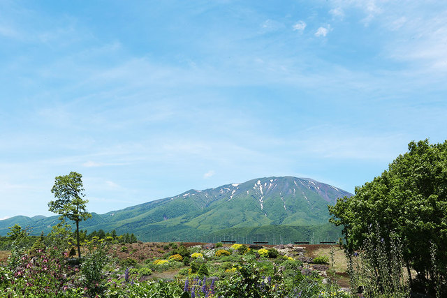 ペレニアルロックガーデン春子谷地 cafe ミルクの里 &ndash; 滝沢市の隠れ家カフェ