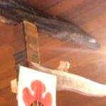 手打ち蕎麦 仙太郎 - 天井近くの棚に鳥さん！