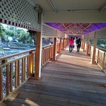 Oriental Seafood Gurney  - 