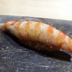 TTOAHISU - ◆地物の車海老・・これも海老の旨み・甘さを感じて美味しい。赤酢のシャリとよく合います。