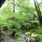 毒沢鉱泉 神乃湯 - 部屋からの景色