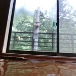 毒沢鉱泉 神乃湯 - むささびの巣