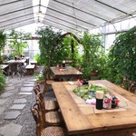 根ッ子うどん - 