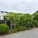 根ッ子うどん - 