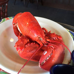 Red Lobster - この状態で出て来ます。