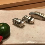 Tsukijisushikoujin - 大きさ比較のために小肌を置きました