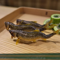 富小路 やま岸 - 美山の鮎。付け合せは瓜に鯛の昆布締めを入れて。