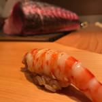 鮨 尚充 - 車海老