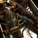 ビストロ ダイア - 活オマール海老