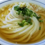 手打うどん 長谷沼 - 冷かけ中のアップ。