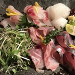 発酵料理屋 にっぽんのひとさら - お刺身四人前