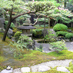 茶寮 宝泉 - 庭です。