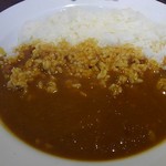 Koko Ichibanya - なんだかシャビシャビなカレーです