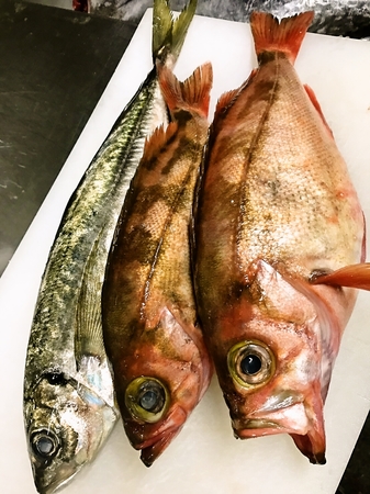 写真 2ページ目 かず家 郵便局前 魚介料理 海鮮料理 食べログ