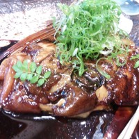魚屋 小次朗 - 鯛の頭の煮付け